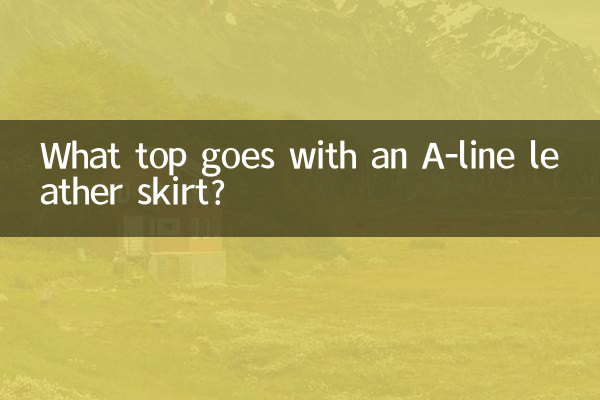 একটি A-লাইন চামড়ার স্কার্টের সাথে কোন শীর্ষটি যায়?