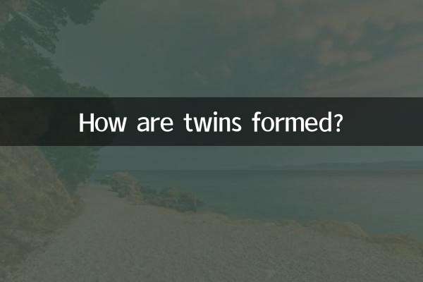 ¿Cómo se forman los gemelos?