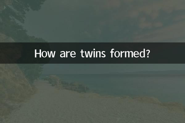 Comment se forment les jumeaux ?