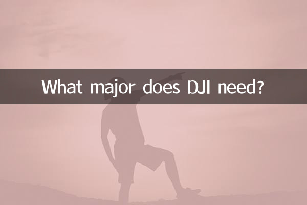 DJI에는 어떤 전공이 필요한가요?