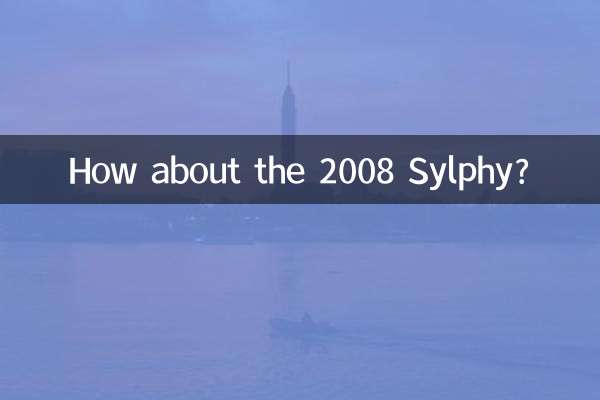 2008 کے سلفی کے بارے میں کیا خیال ہے؟