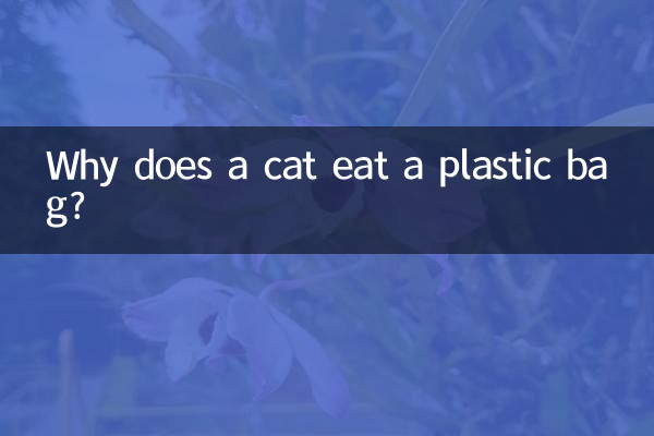 Why does a cat eat a plastic bag?