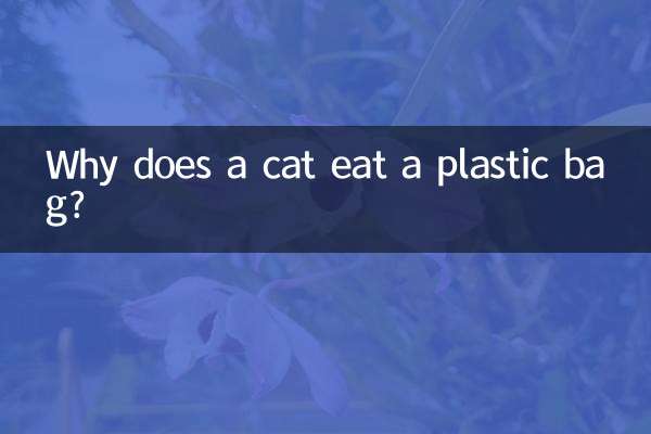 Warum frisst eine Katze eine Plastiktüte?