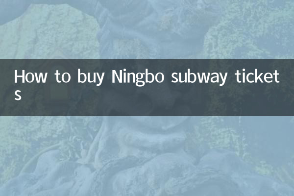 كيفية شراء تذاكر مترو نينغبو