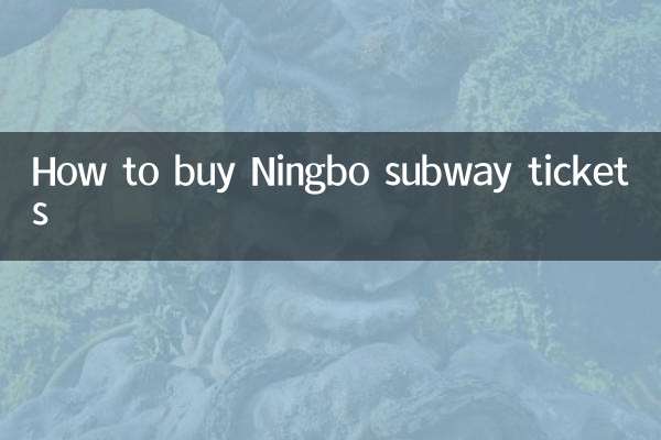 ننگبو سب وے ٹکٹ کیسے خریدیں