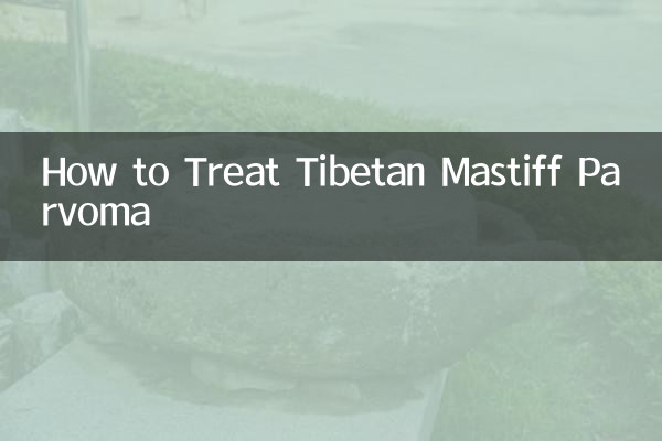 티베탄 마스티프 파보마를 치료하는 방법