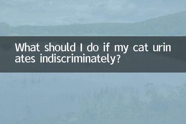 Что делать, если моя кошка мочится без разбора?