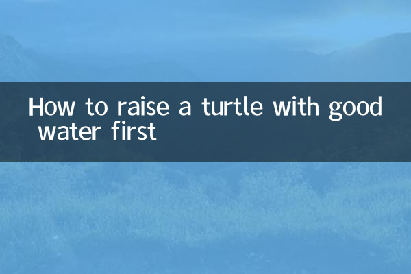 Come allevare prima una tartaruga con acqua buona
