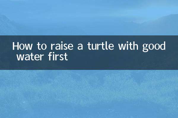 كيفية تربية السلحفاة بالماء الجيد أولاً