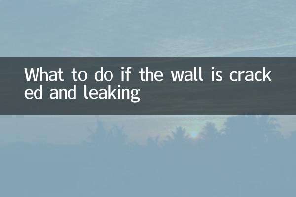 দেয়ালে ফাটল ও ফুটো হলে কী করবেন