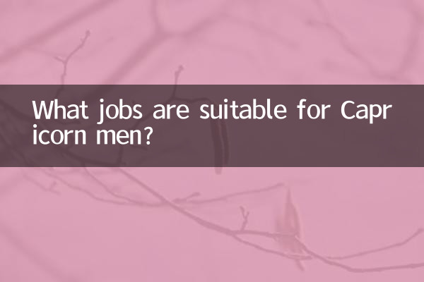 What jobs are suitable for Capricorn men?