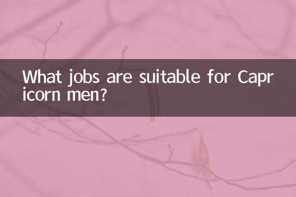What jobs are suitable for Capricorn men?
