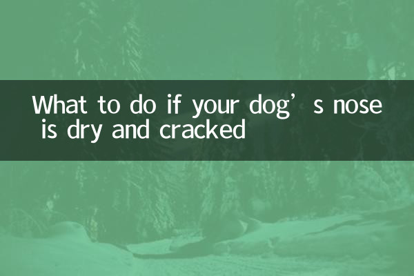 আপনার কুকুরের নাক শুষ্ক এবং ফাটা হলে কি করবেন
