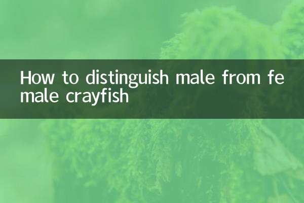 Come distinguere i gamberi maschi da quelli femmine