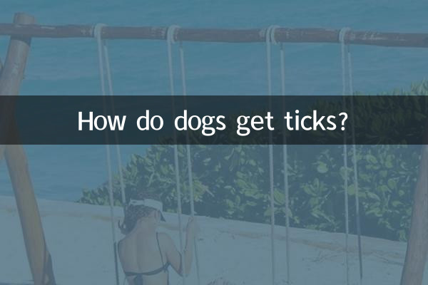 How do dogs get ticks?