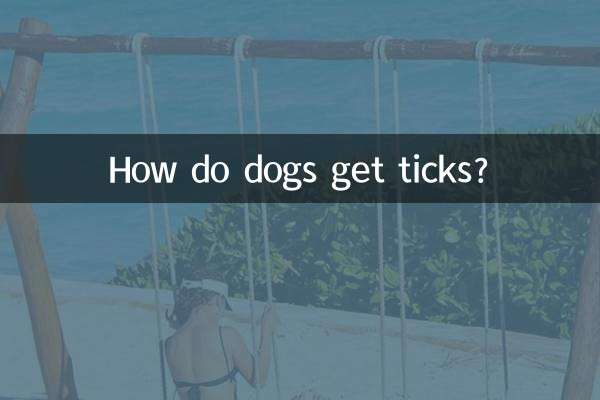 How do dogs get ticks?