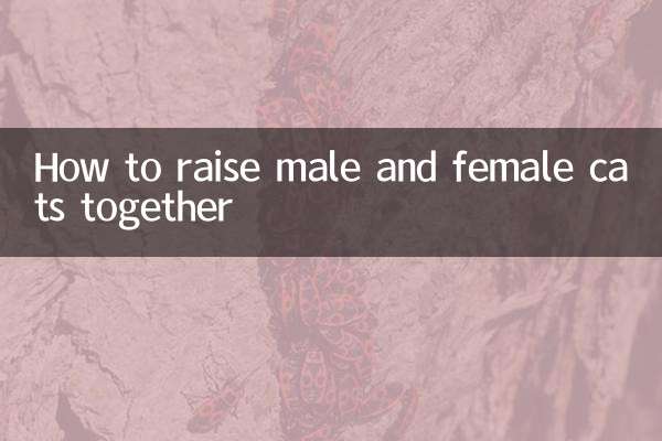 কিভাবে পুরুষ এবং মহিলা বিড়াল একসাথে বড় করতে হয়