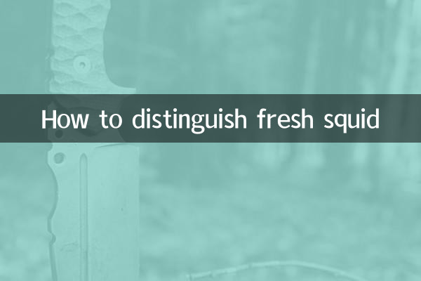 Comment distinguer les calmars frais