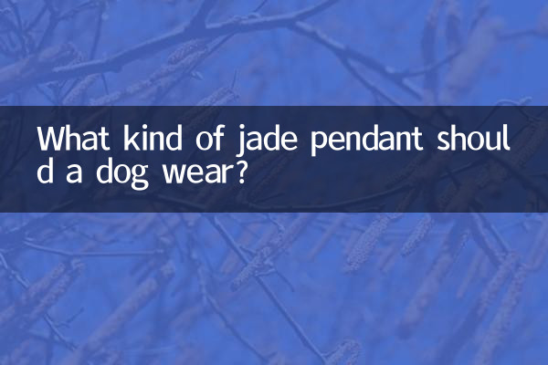 Che tipo di ciondolo di giada dovrebbe indossare un cane?