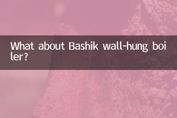 巴希克壁挂炉怎么样