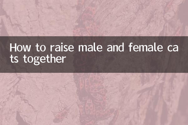オス猫とメス猫を一緒に育てる方法