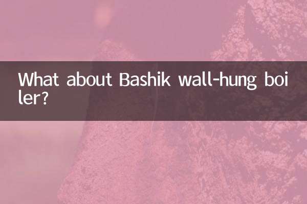 Che ne dici della caldaia murale Bashik?