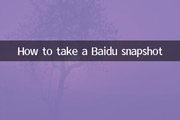 بائیڈو اسنیپ شاٹ کیسے لیں