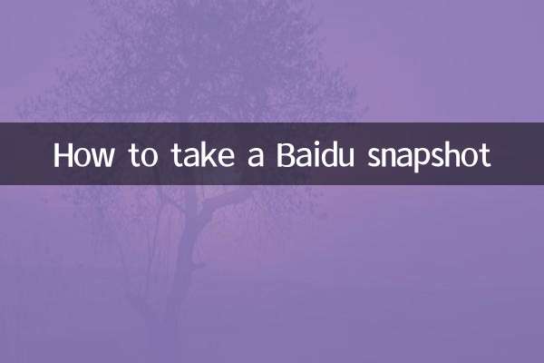 بائیڈو اسنیپ شاٹ کیسے لیں