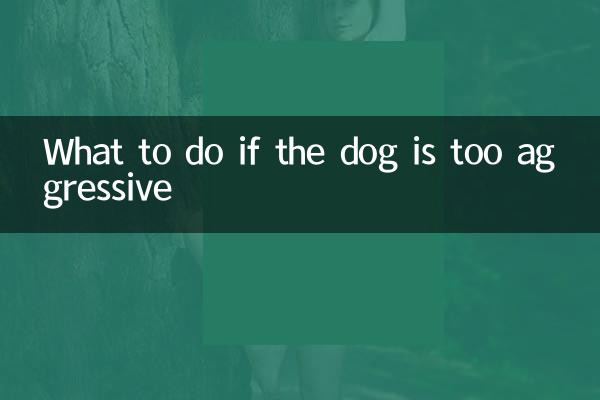 Cosa fare se il cane è troppo aggressivo