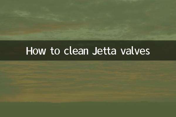 제타 밸브 청소 방법