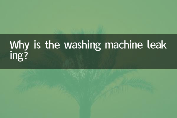 Warum ist die Waschmaschine undicht?