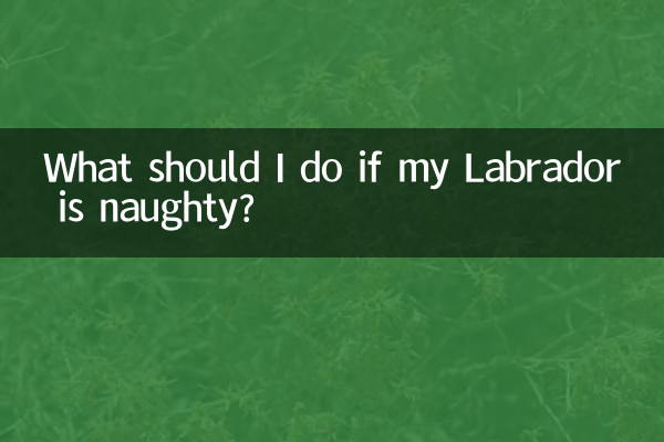 O que devo fazer se meu Labrador for travesso?