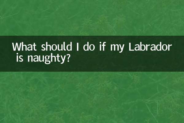 Que dois-je faire si mon Labrador est méchant ?