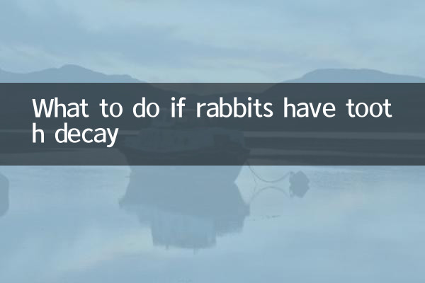 What to do if rabbits have tooth decay