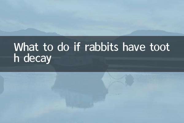 What to do if rabbits have tooth decay