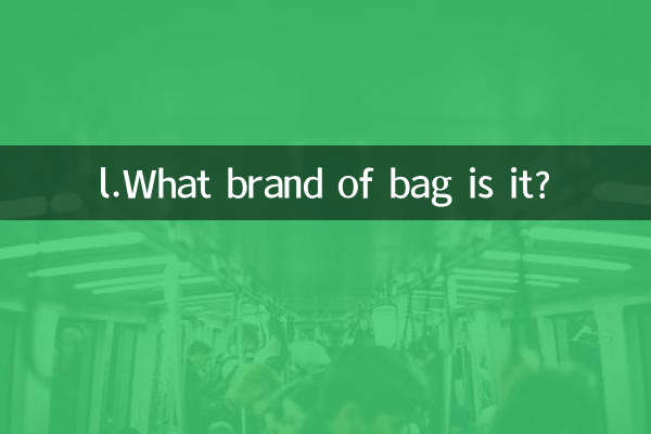 l.এটি কোন ব্র্যান্ডের ব্যাগ?