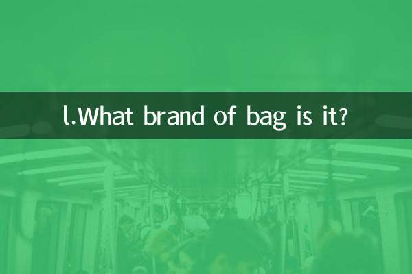 l.এটি কোন ব্র্যান্ডের ব্যাগ?