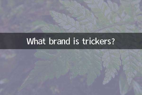 Di che marca sono Trickers?