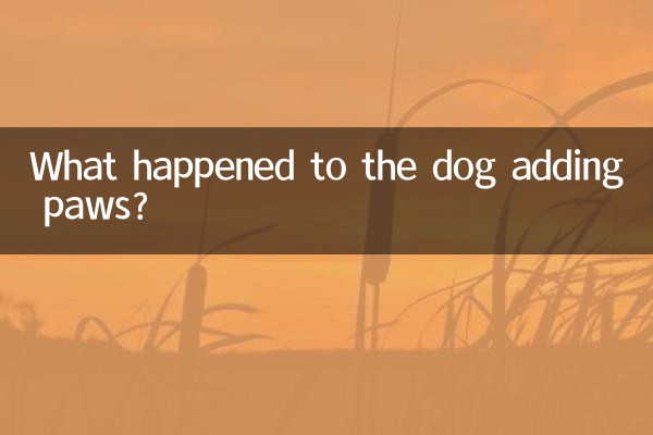 What happened to the dog adding paws?