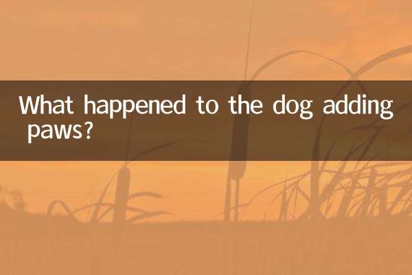 ماذا حدث للكلب وهو يضيف الكفوف؟