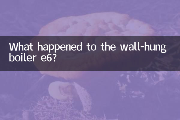 প্রাচীর-হং বয়লার e6 এর কি হয়েছে?