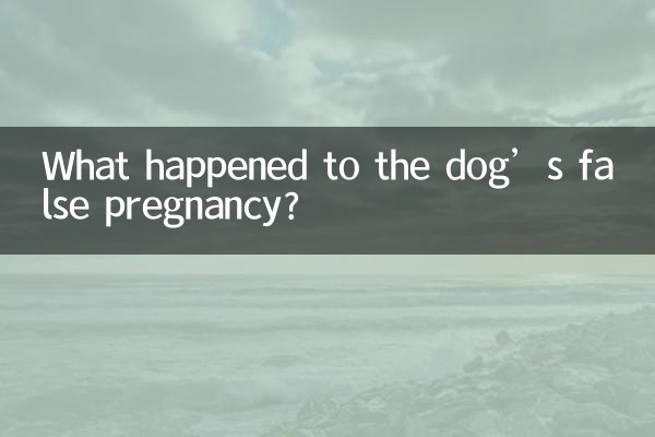 کتے کے جھوٹے حمل کا کیا ہوا؟