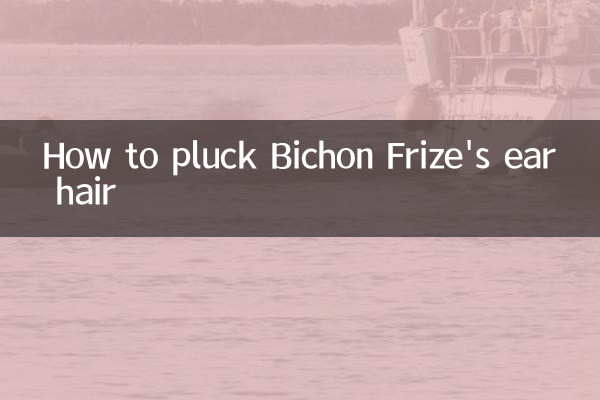Cómo arrancar el pelo de la oreja del Bichón Frisé