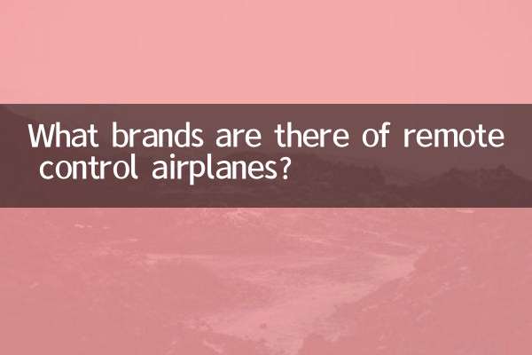 원격 조종 비행기에는 어떤 브랜드가 있나요?