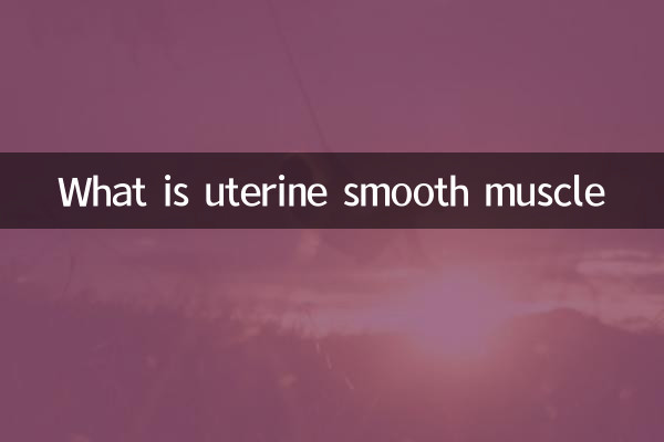 O que é músculo liso uterino