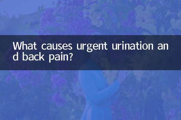 尿急腰疼是什么原因