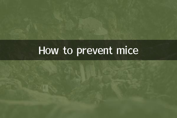 老鼠怎么预防
