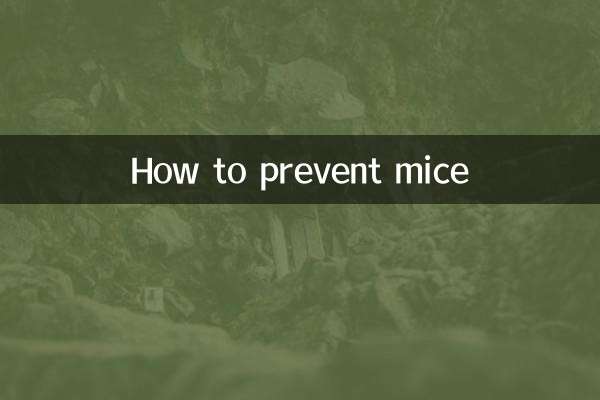 老鼠怎么预防