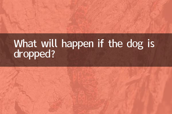 狗狗被摔了會怎麼樣