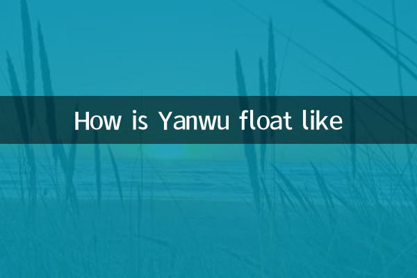 Com'è il galleggiante Yanwu